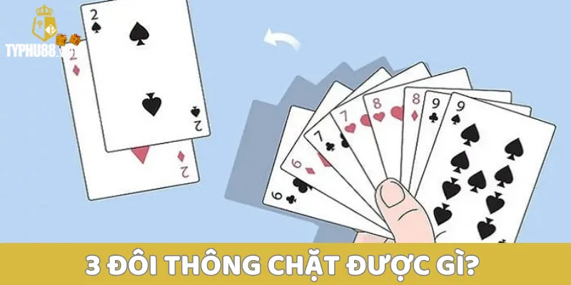 3 đôi thông chặt được gì? Tìm hiểu thông tin về 3 đôi thông 1 3 đôi thông chặt được gì?