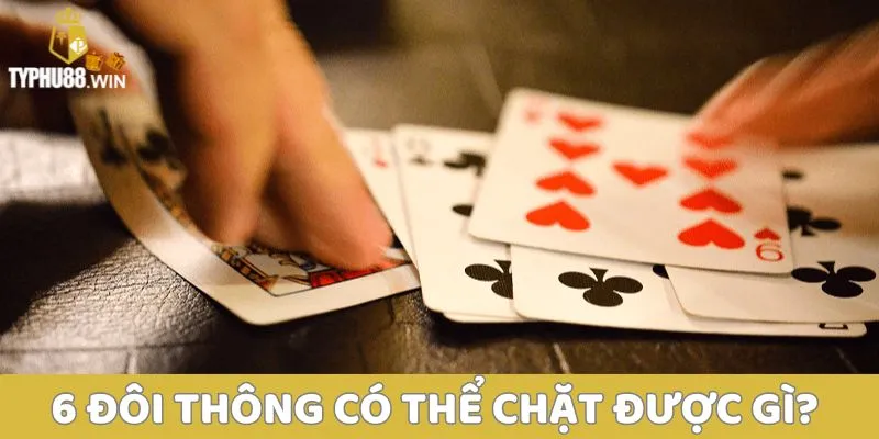 6 đôi có tới trắng không? Các trường hợp tới trắng 2 6 đôi thông có thể chặt gì?