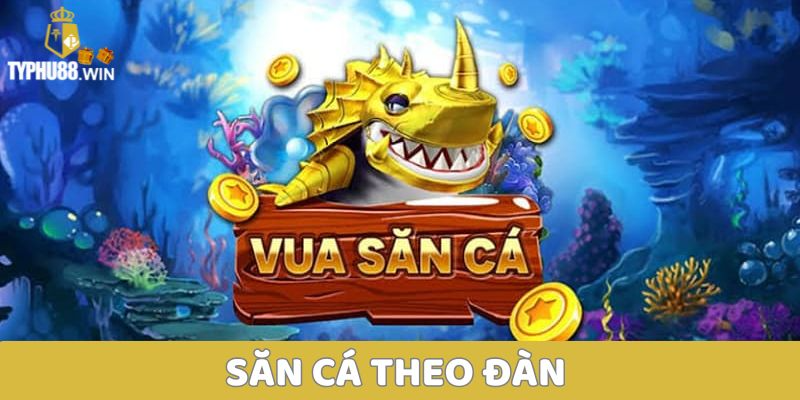 Hack ICa - Thỏa sức trải nghiệm đại dương bao la Thưởng khủng 4 Săn cá theo đàn