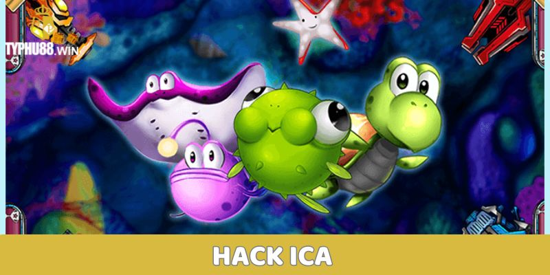 Hack ICa