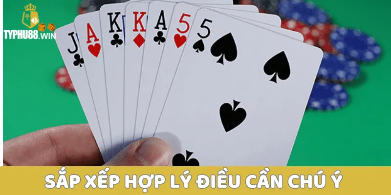 3 đôi thông chặt được gì? Tìm hiểu thông tin về 3 đôi thông 4 Sắp xếp hợp lý điều cần chú ý